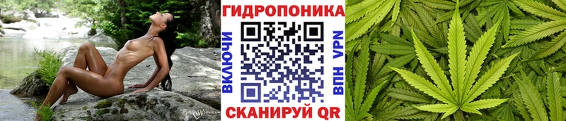Бошки марихуана Bruce Banner закладка Астрахань